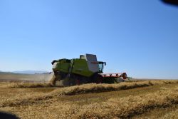 Claas Lexion 660